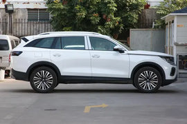 Volkswagen Tavendor